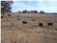 1159 Binda Road, Crookwell NSW 2583