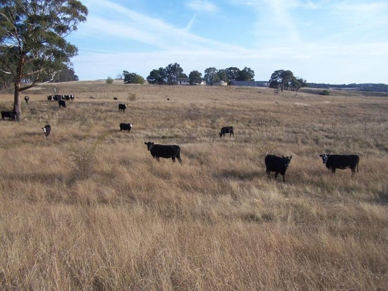 1159 Binda Road, Crookwell NSW 2583