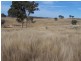 1159 Binda Road, Crookwell NSW 2583