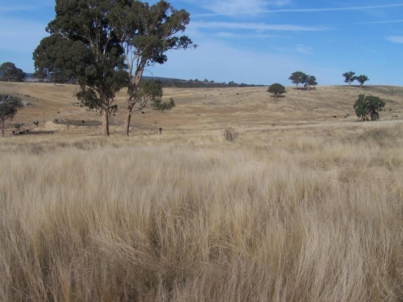 1159 Binda Road, Crookwell NSW 2583