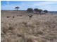 1159 Binda Road, Crookwell NSW 2583