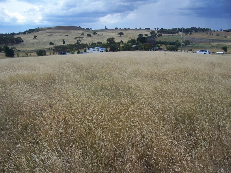 Lot 11 Hewitts Lane, Grabben Gullen NSW 2583