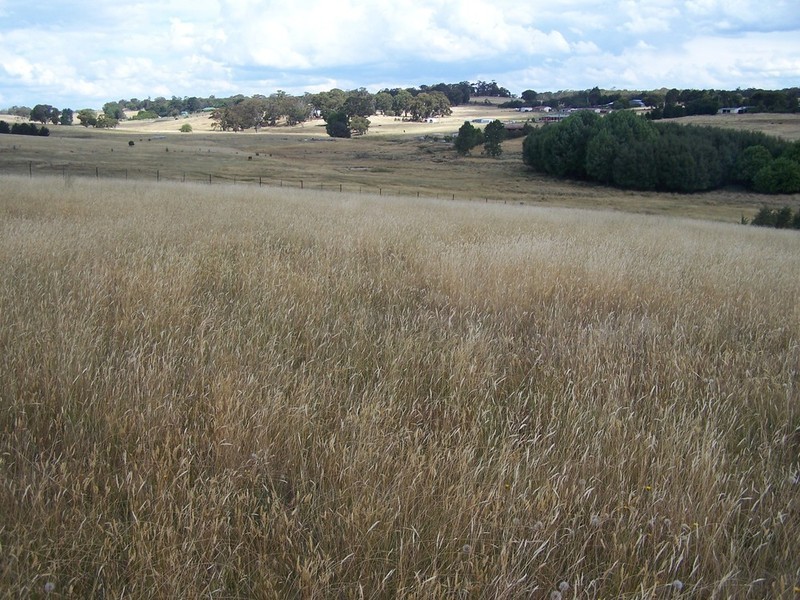 Lot 11 Hewitts Lane, Grabben Gullen NSW 2583