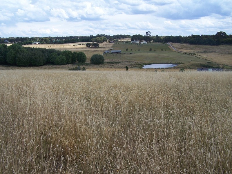 Lot 11 Hewitts Lane, Grabben Gullen NSW 2583