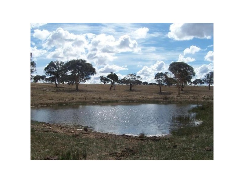 Lot 1 Henry Parkes Road, Parkesbourne NSW 2580