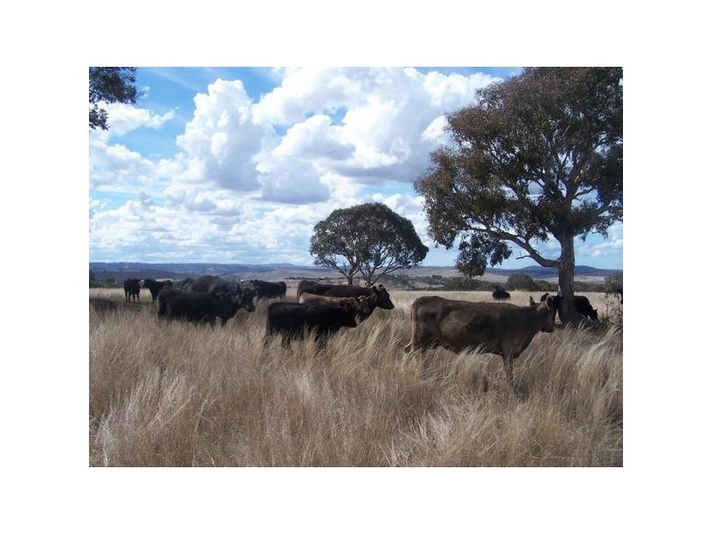 Lot 1 Henry Parkes Road, Parkesbourne NSW 2580