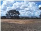 Lot 1 Henry Parkes Road, Parkesbourne NSW 2580