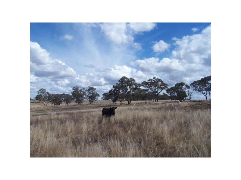 Lot 1 Henry Parkes Road, Parkesbourne NSW 2580