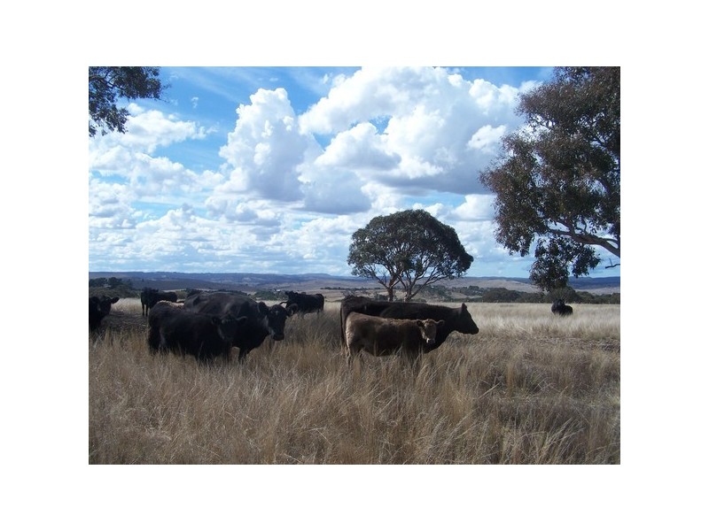 Lot 1 Henry Parkes Road, Parkesbourne NSW 2580