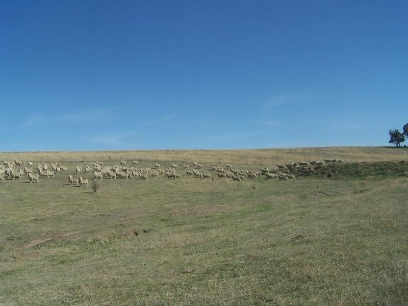 Lot 2 Sapphire Road, Gunning NSW 2581