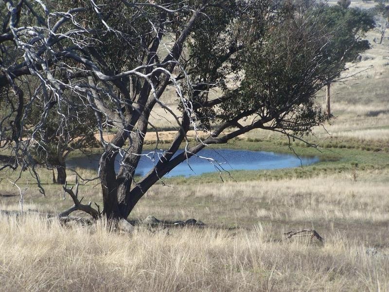 Lot 2 Sapphire Road, Gunning NSW 2581