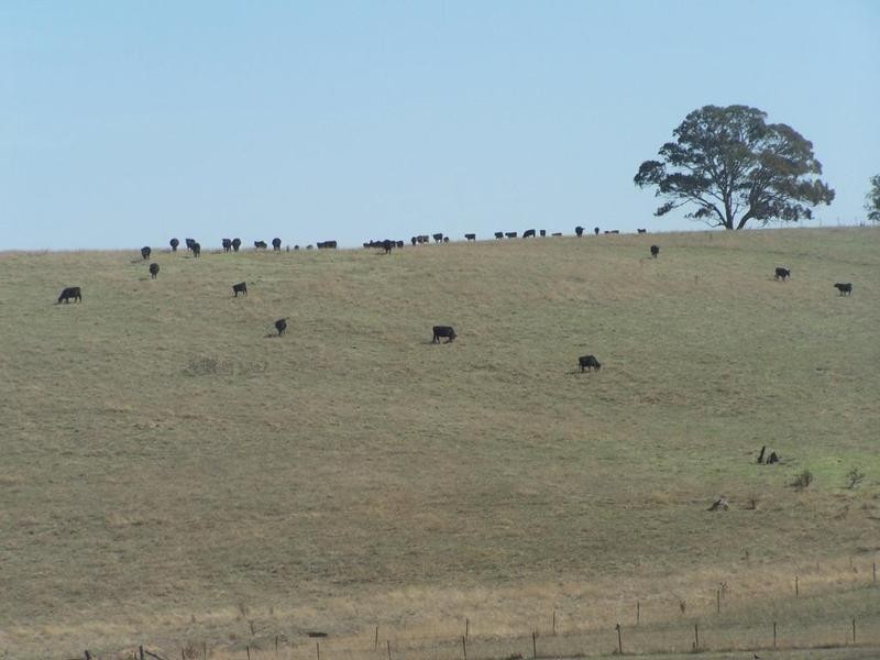 Lot 2 Sapphire Road, Gunning NSW 2581