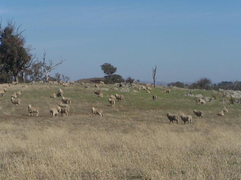 Lot 2 Sapphire Road, Gunning NSW 2581