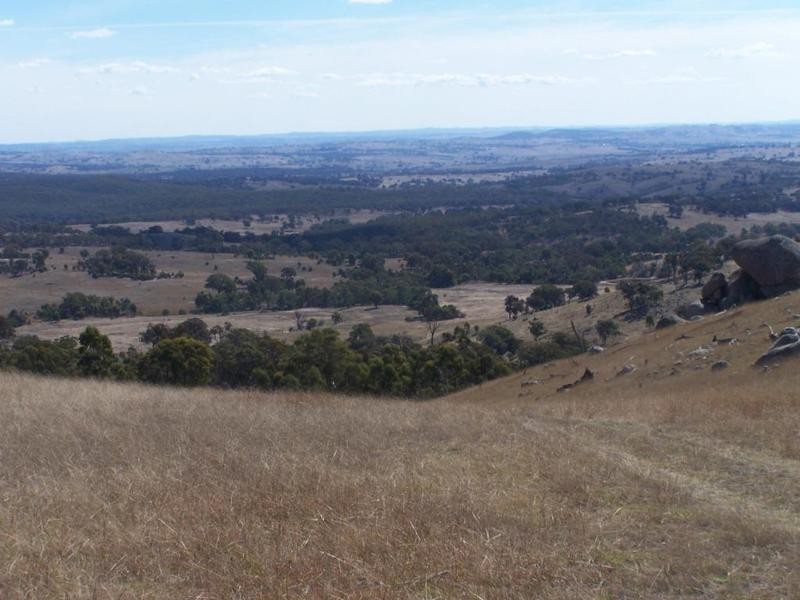 1590 Collector Road, Gunning NSW 2581