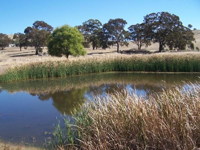 1590 Collector Road, Gunning NSW 2581