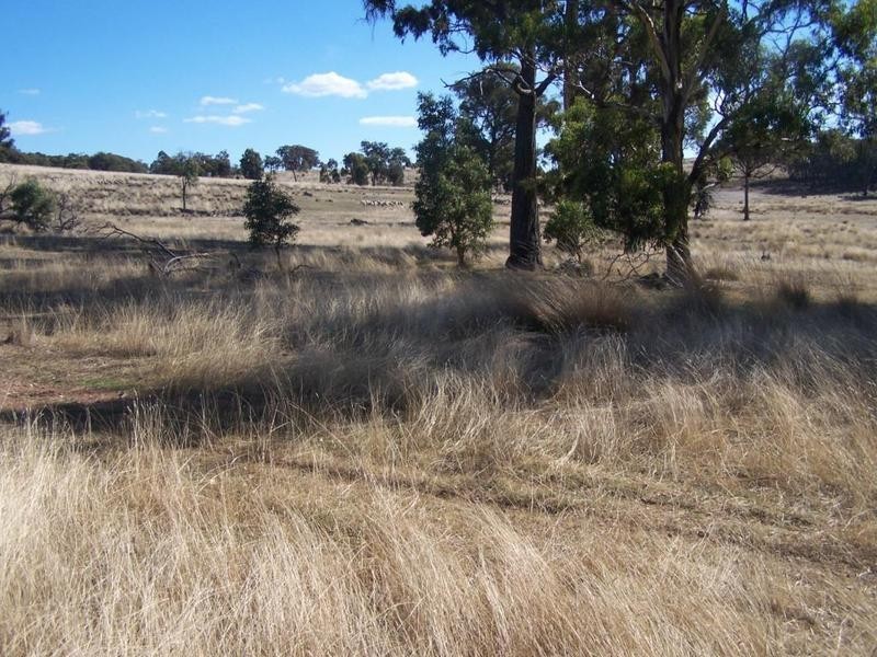 1590 Collector Road, Gunning NSW 2581