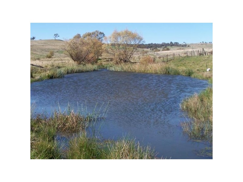 “Warrawidgee” Yalbraith Road, Taralga NSW 2580