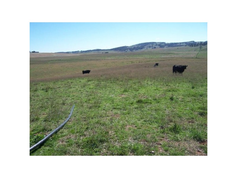 “Warrawidgee” Yalbraith Road, Taralga NSW 2580