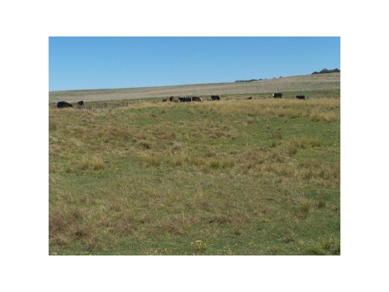 “Warrawidgee” Yalbraith Road, Taralga NSW 2580