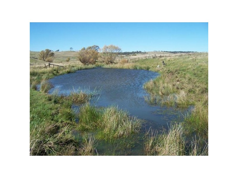 “Warrawidgee” Yalbraith Road, Taralga NSW 2580