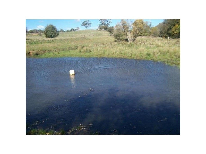 310 Yalbraith Road, Taralga NSW 2580