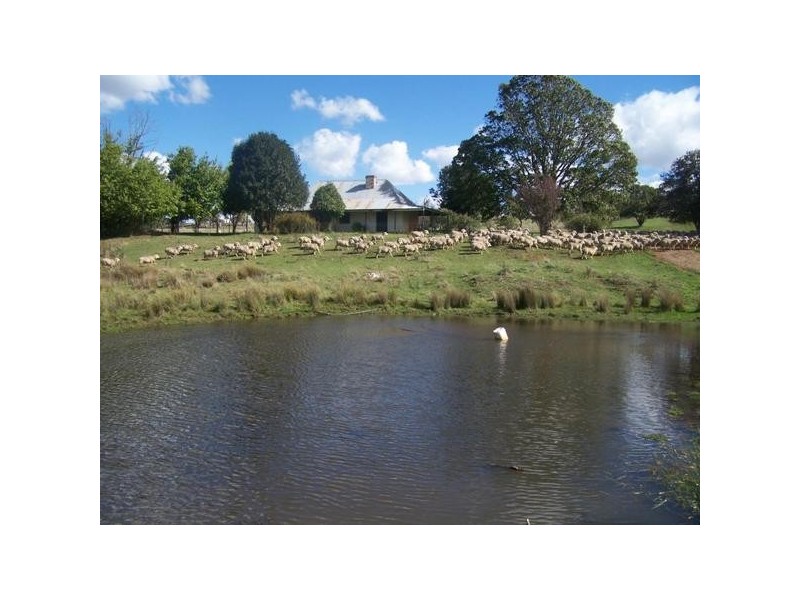 310 Yalbraith Road, Taralga NSW 2580