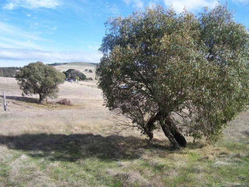 Lot 4 Hewitts Lane, Grabben Gullen NSW 2583
