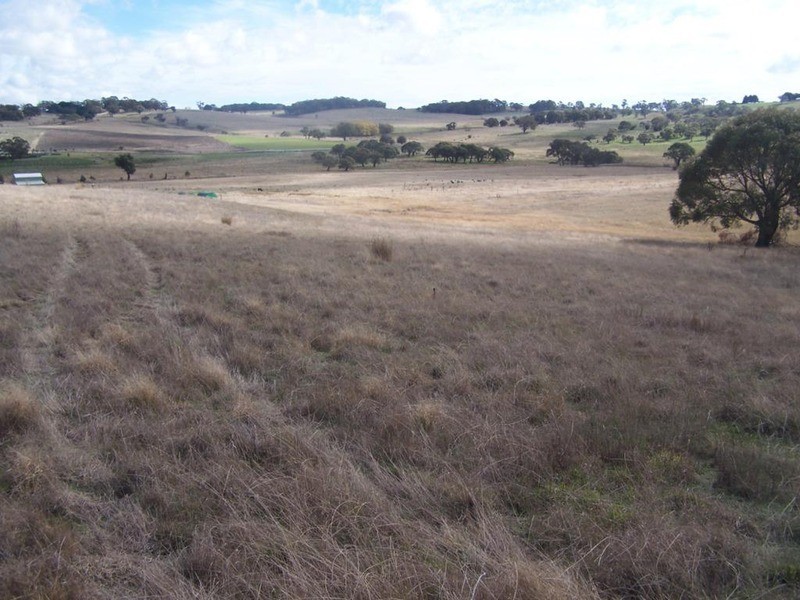 Lot 4 Hewitts Lane, Grabben Gullen NSW 2583