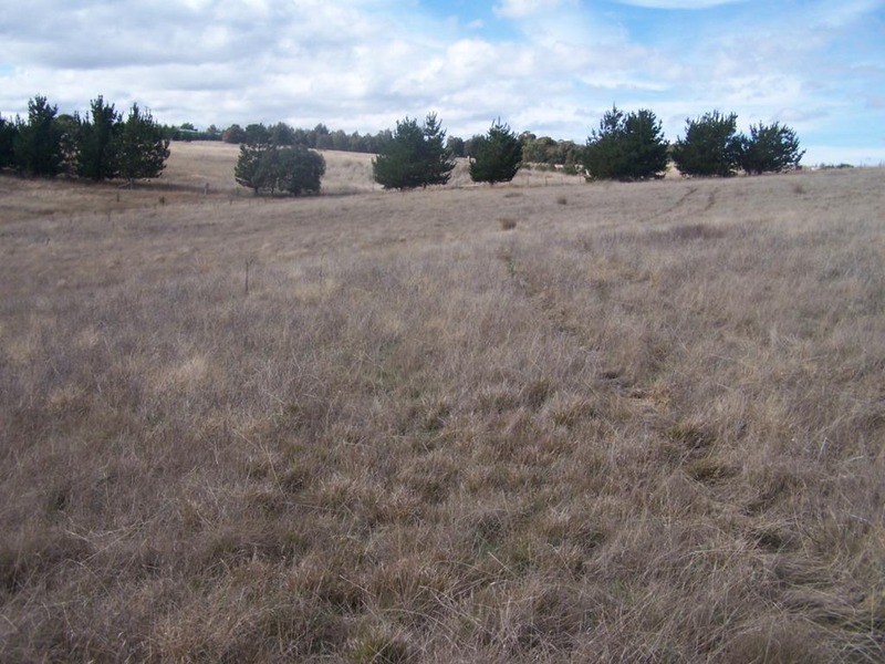 Lot 4 Hewitts Lane, Grabben Gullen NSW 2583