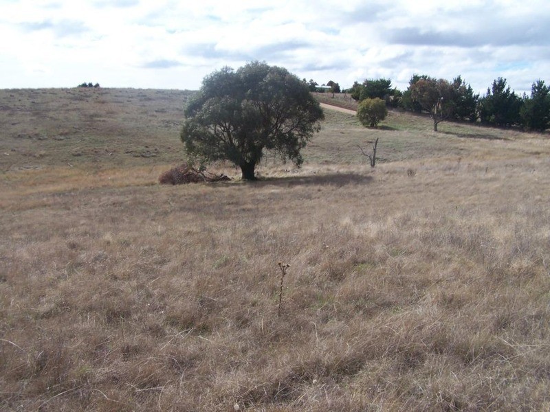 Lot 4 Hewitts Lane, Grabben Gullen NSW 2583
