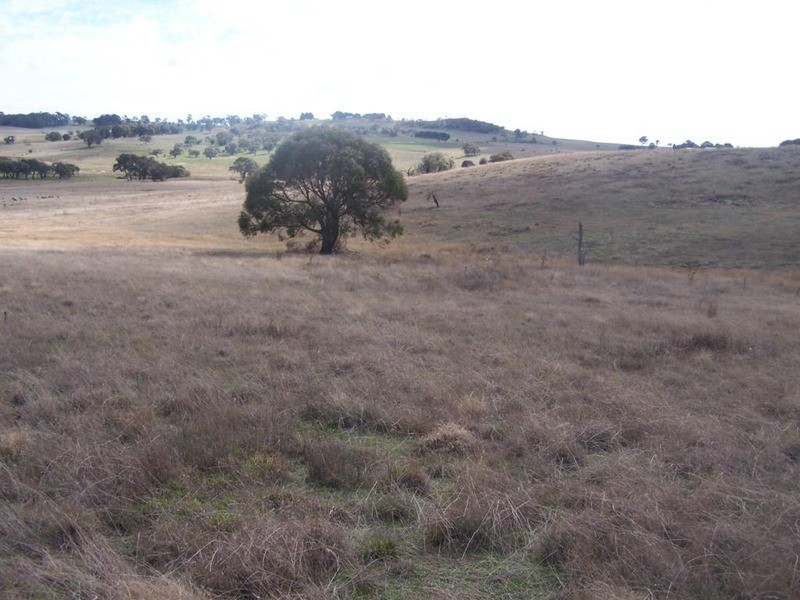 Lot 4 Hewitts Lane, Grabben Gullen NSW 2583