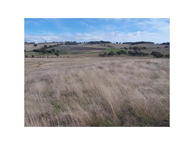 Lot 3 Hewitts Lane, Grabben Gullen NSW 2583