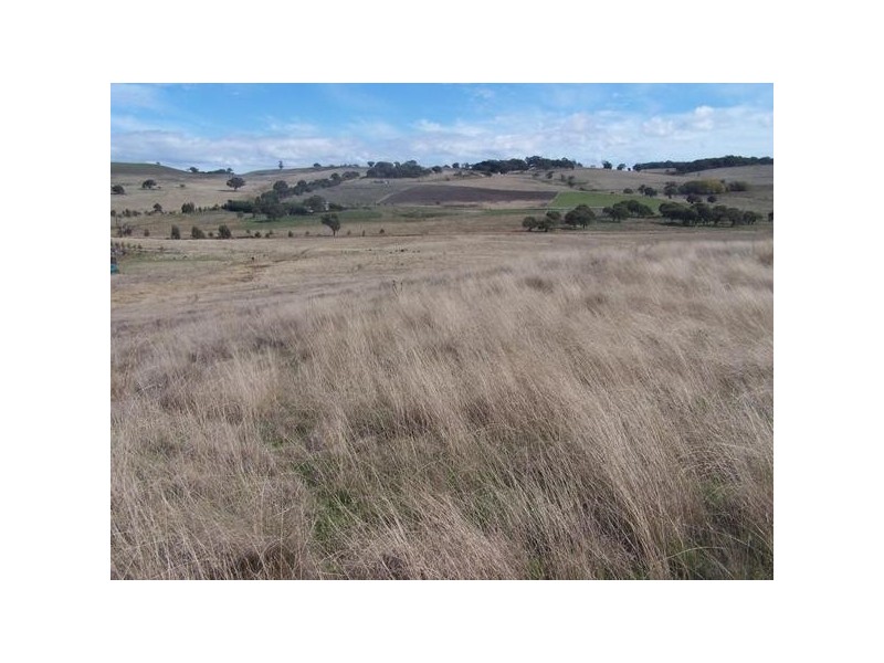 Lot 3 Hewitts Lane, Grabben Gullen NSW 2583