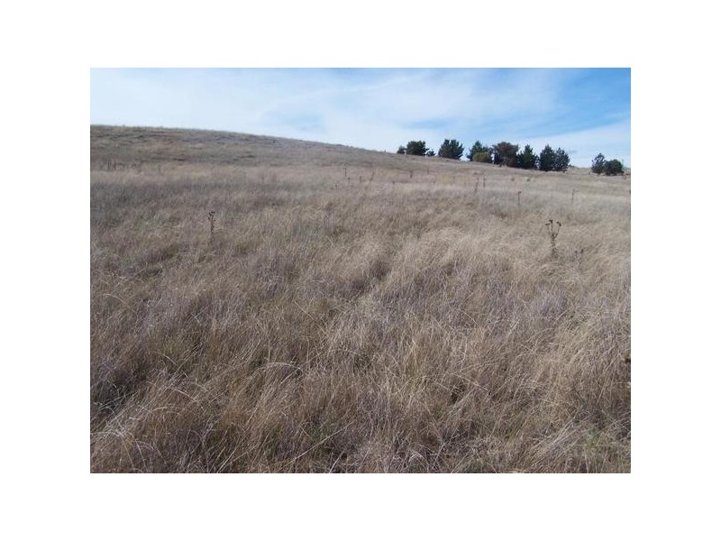 Lot 3 Hewitts Lane, Grabben Gullen NSW 2583