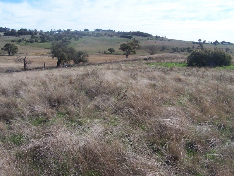 Lot 2 Hewitts Lane, Grabben Gullen NSW 2583
