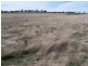 Lot 2 Hewitts Lane, Grabben Gullen NSW 2583