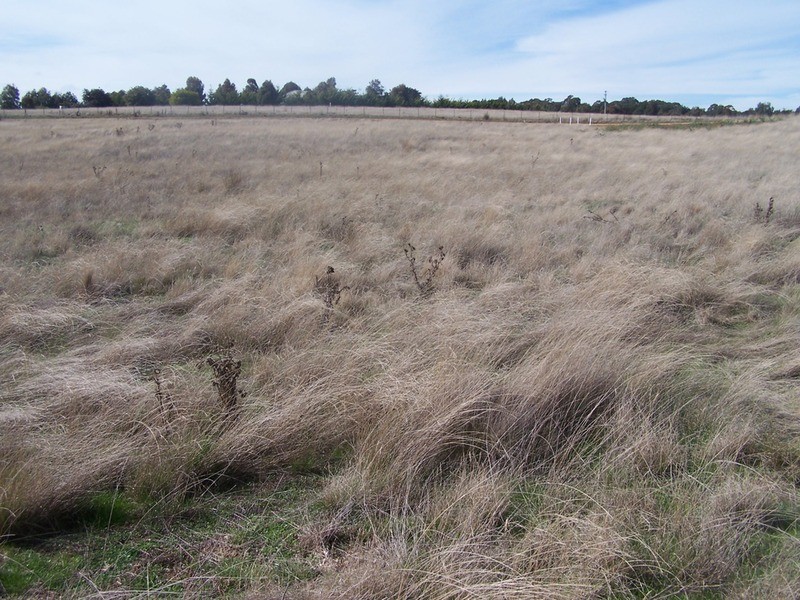 Lot 2 Hewitts Lane, Grabben Gullen NSW 2583
