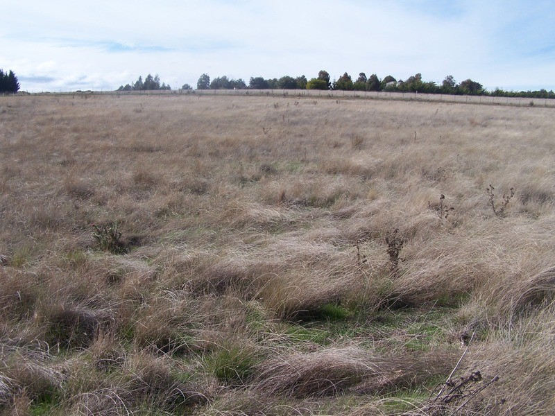 Lot 2 Hewitts Lane, Grabben Gullen NSW 2583