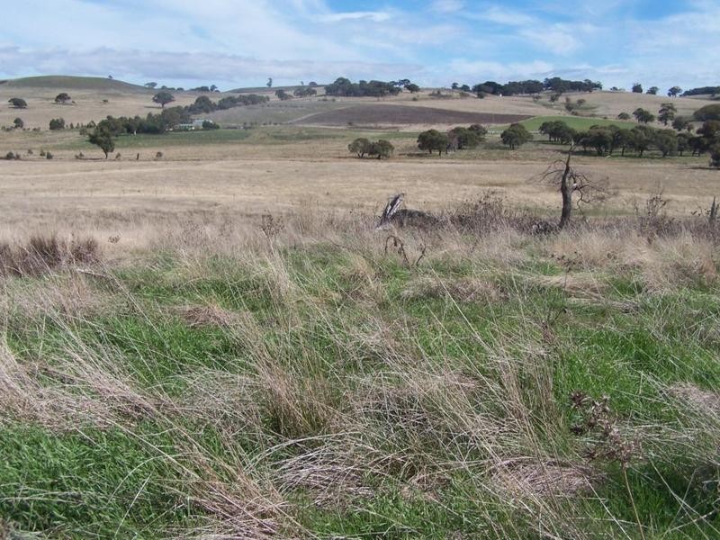 Lot 1 Hewitts Lane, Grabben Gullen NSW 2583