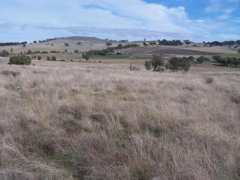 Lot 1 Hewitts Lane, Grabben Gullen NSW 2583