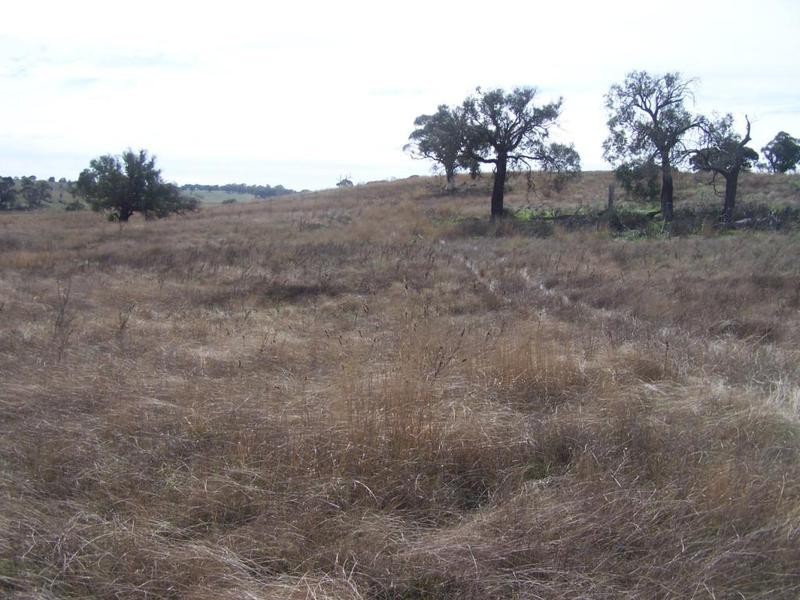 Lot 1 Hewitts Lane, Grabben Gullen NSW 2583