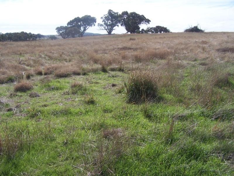 Lot 1 Hewitts Lane, Grabben Gullen NSW 2583