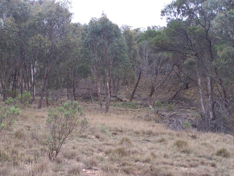 361 Readers Road, Quialigo NSW 2580