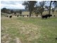 Lot 1 Sylvia Vale Road, Binda NSW 2583