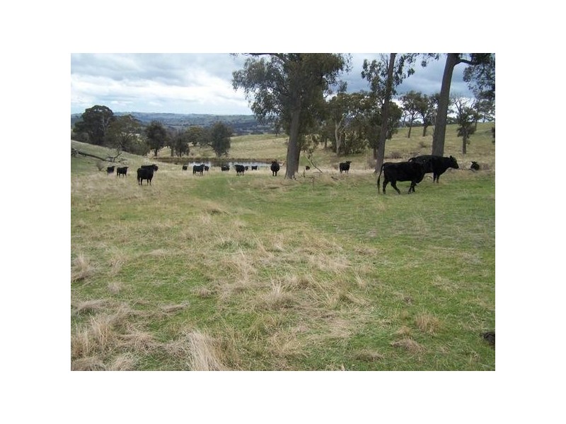 Lot 1 Sylvia Vale Road, Binda NSW 2583