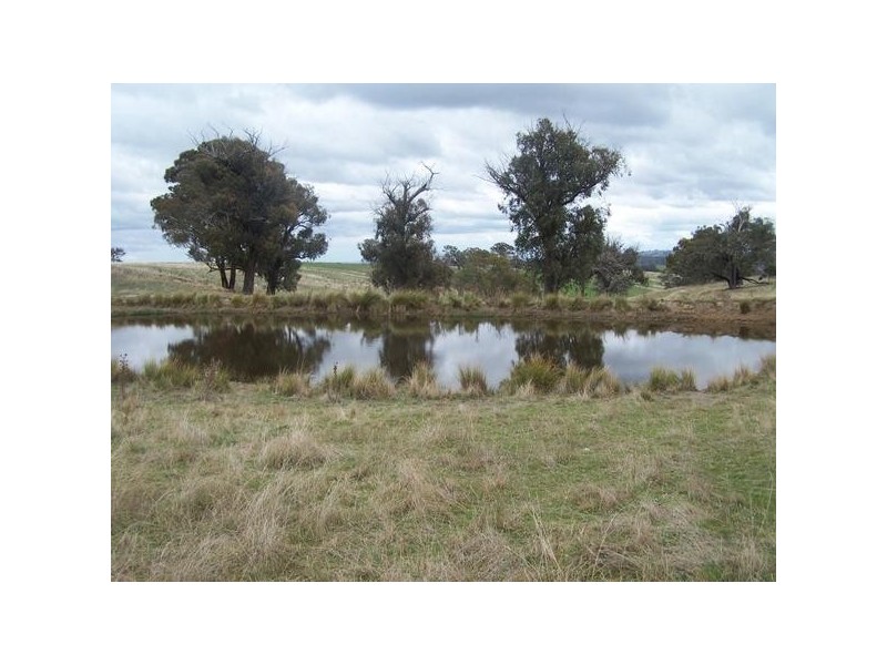 Lot 1 Sylvia Vale Road, Binda NSW 2583