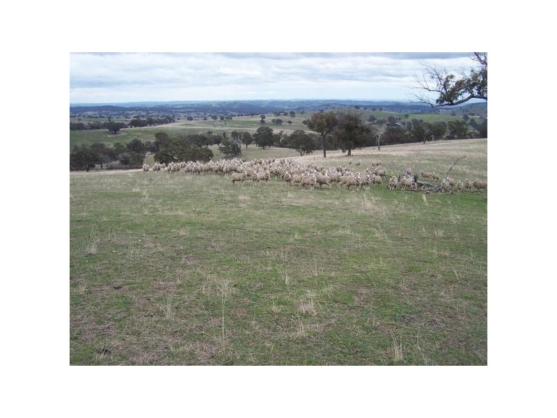 Lot 1 Sylvia Vale Road, Binda NSW 2583