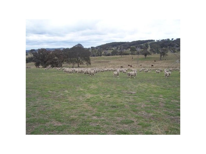 Lot 1 Sylvia Vale Road, Binda NSW 2583