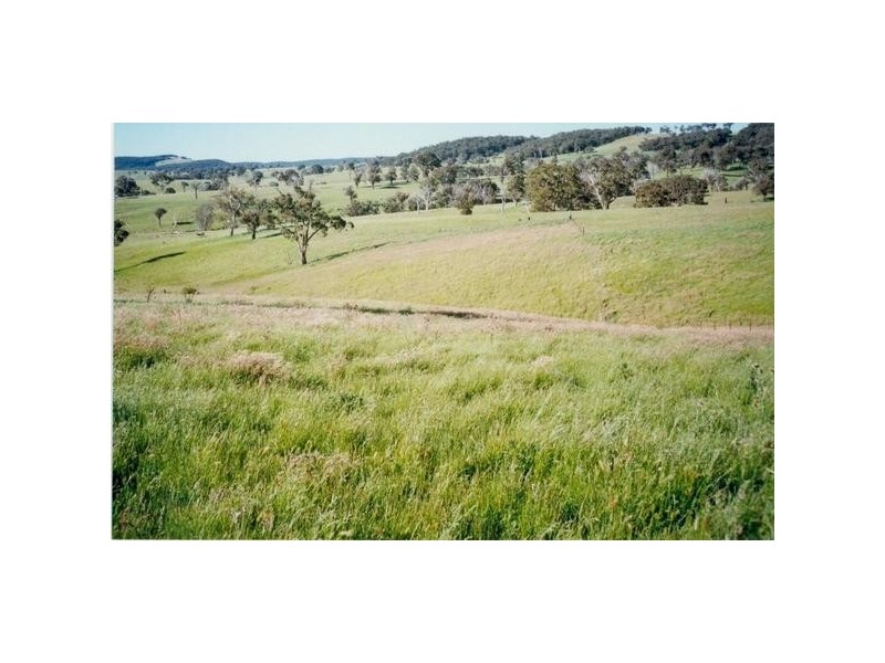 Lot 1 Sylvia Vale Road, Binda NSW 2583