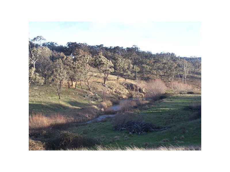 1831 Taralga Road, Tarlo NSW 2580